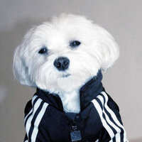 Арсений Мравян