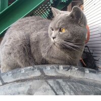 Павел Денисов