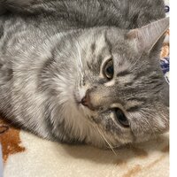 Эльвира Бердник