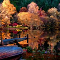 Александр Крачун