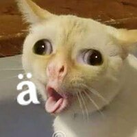 Маргарита Д.