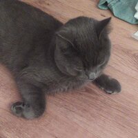 Валерия Виноградова