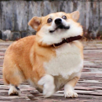 Константин Б.