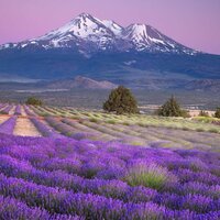 Галина Пайтян