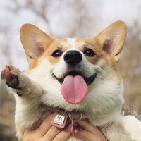 Софья Львова