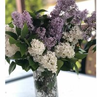 Екатерина Дадашева