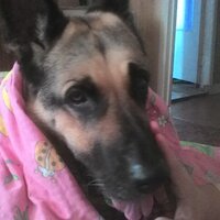 Марина Аболина