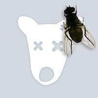 Андрей Смирнов