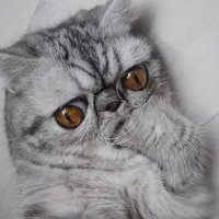 Анастасия Арасланова