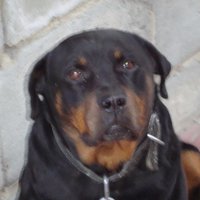 Евгений Сучков