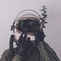 Олеся М.
