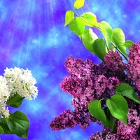 Татьяна Бородынкина