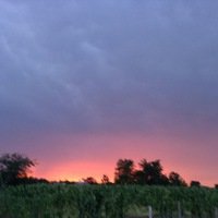 Анастасия С.