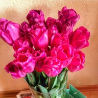 Ульяна Задорожная