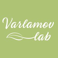 Сергей Варламов