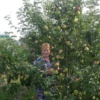 ЛЮБОВЬ ГОСТИЛОВА