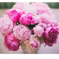 Анастасия С.