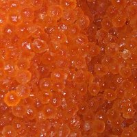 ООО «ФТД» Е.