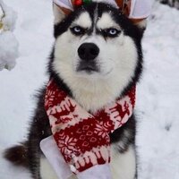 Виктория К.