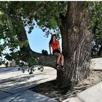 Астрид Поттер