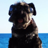 Максим Иванов