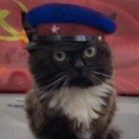 Михаил Разин