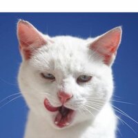 Валера Кондратьев