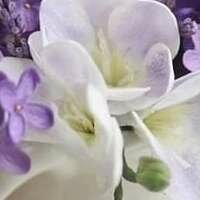 Ольга Сергеевна Л.