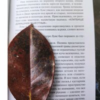 Наталья Христенко