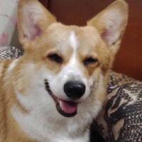 Светлана Сергеевна