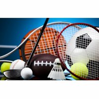 Потапова Вероника Сергеевна