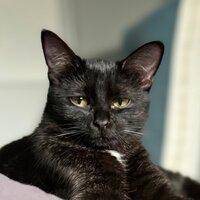 Алина Алина