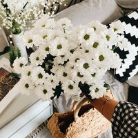 Наталья Зотова