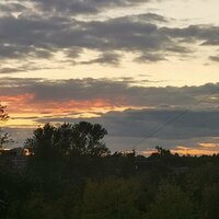 Мария Егорова