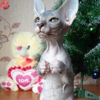 Светлана Уважаемая