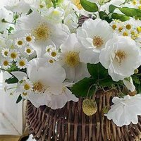 Галина Тарасенко