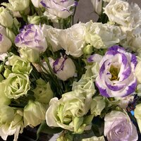 Татьяна Солодкая