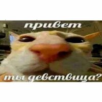 Варя Суркова