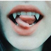 Димитрия Терри