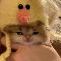 Григорий Фадеев