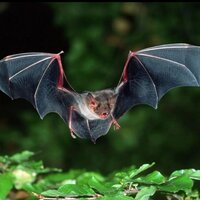 Александр Суслов