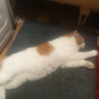 Надежда Белянцева