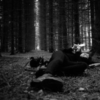 Катя Шолохова