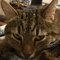 Евгения Смирнова