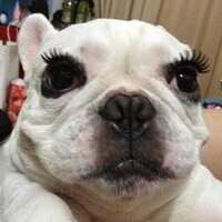 Задорожная