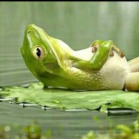 Елена Абрамова