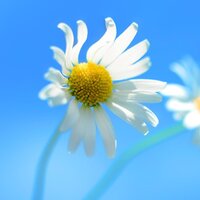 Светлана Щ.