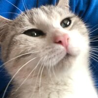 Ирина Цыганкова