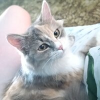 Виктория М.