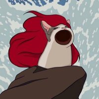 Виктория Никифорова